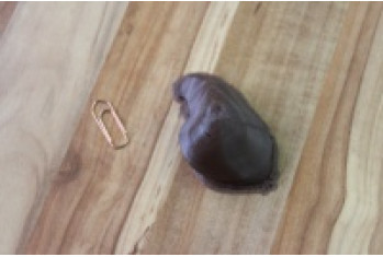 Макет печени из PLA пластика