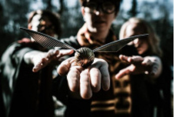 Golden Snitch