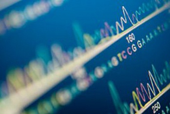 Семинары по вопросам патентования изобретений в области химии и биологии